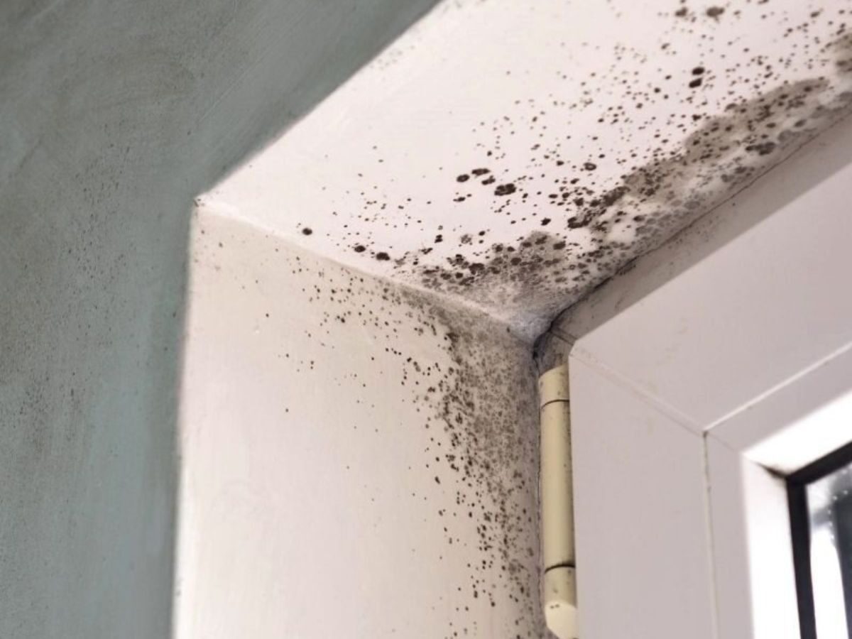 Ceiling Leak Water Removal Los Angeles Office Suite