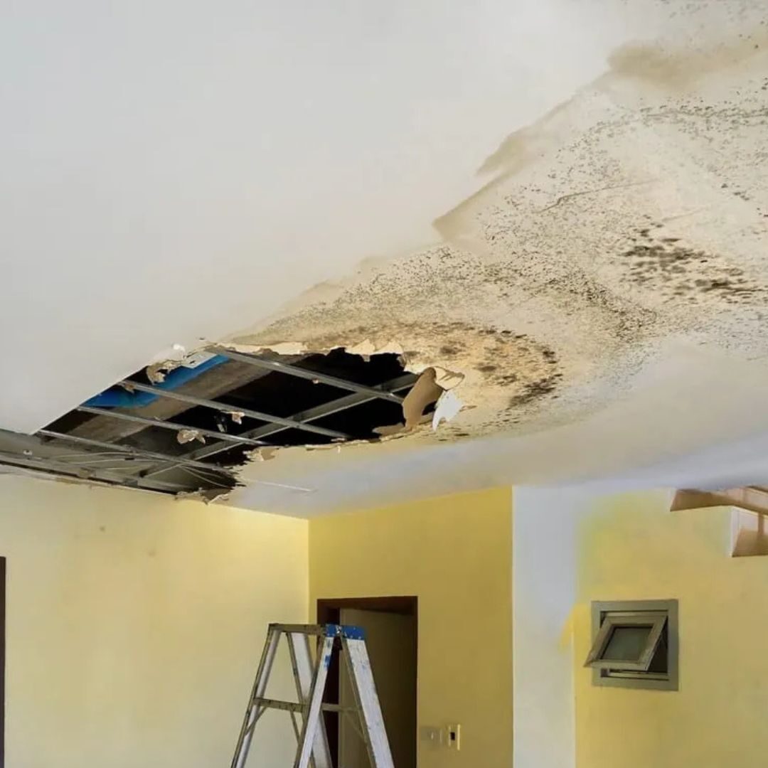 Common Water Damage Challenges in Highland Park Properties