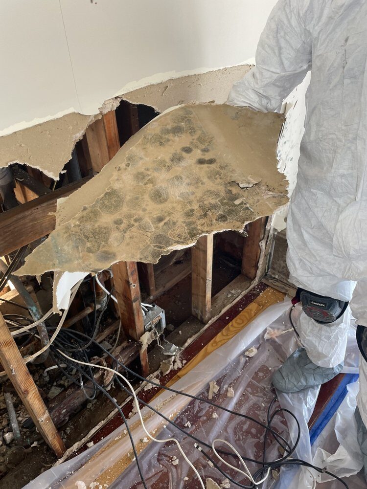When to Call for Water Removal in Echo Park