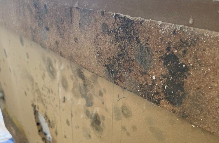 West Los Angeles Water Damage Restoration