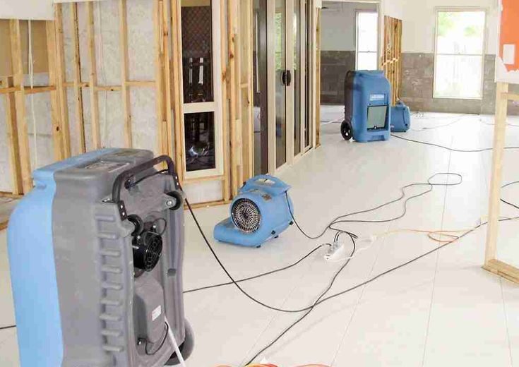 When to Call for Water Removal in South Los Angeles