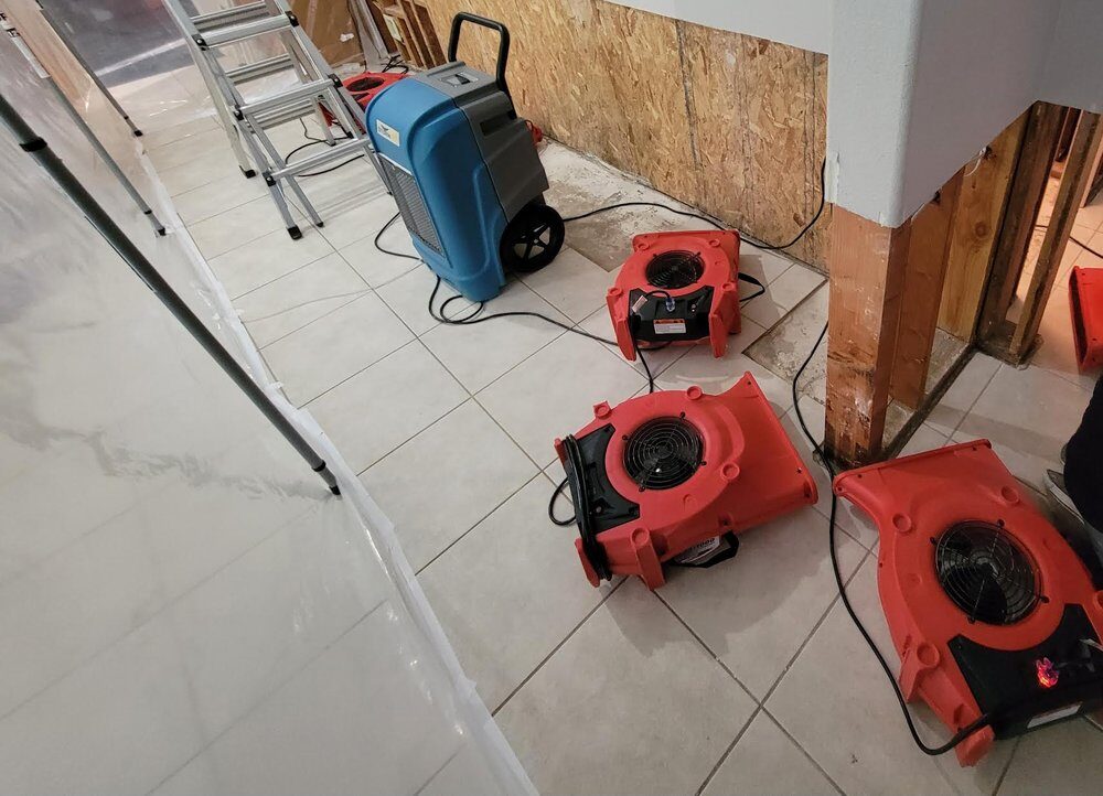We are the restoration team of choice for Pico-Union property owners