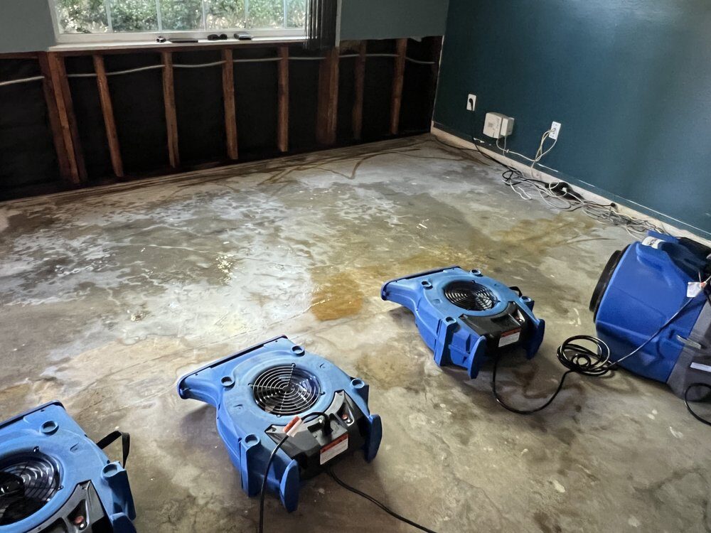 When to Call for Water Removal in Koreatown