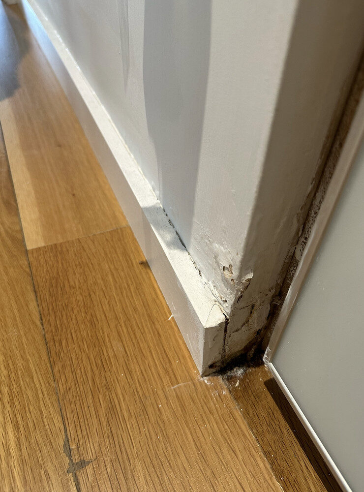 Expert Ceiling & Wall Restoration in East Hollywood