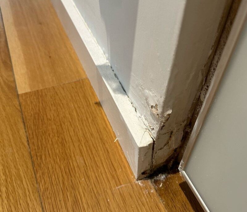 Common Water Damage Causes in West Hollywood