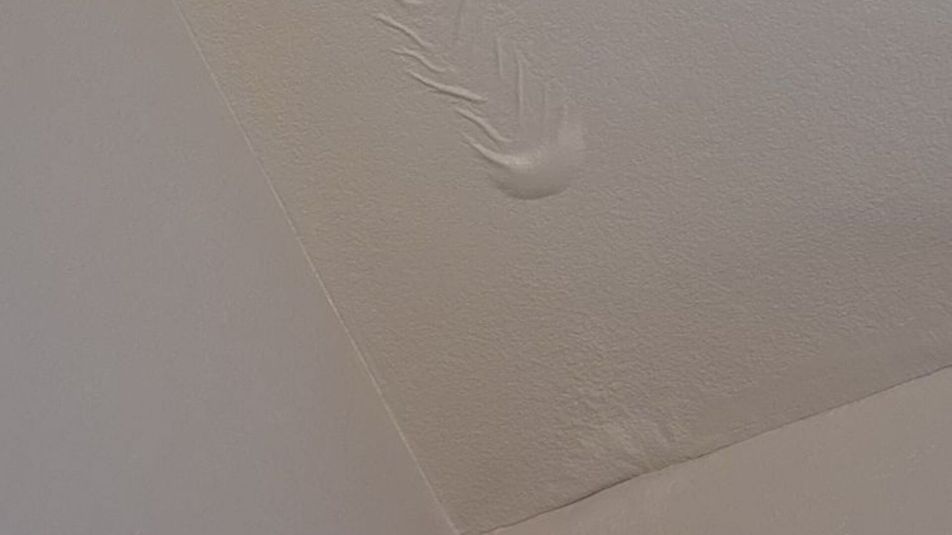 How Fast Does Mold Grow After Water Damage