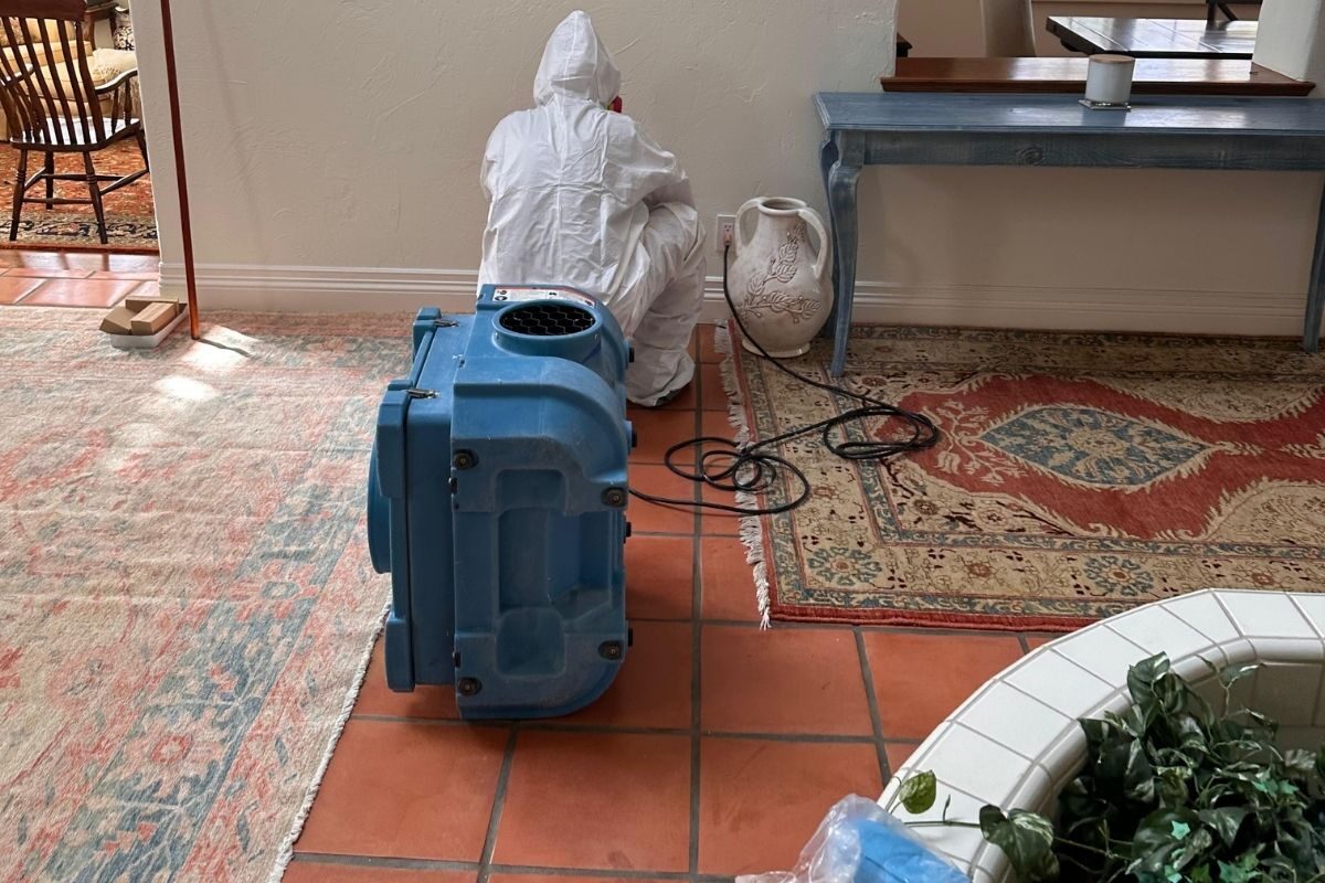 Mold Remediation for Hollywood Heights Hillside Homes