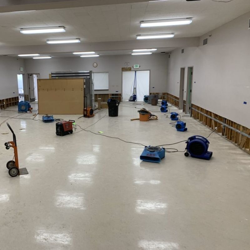 Why Hollywood Heights Properties Need Specialized Water Damage Services
