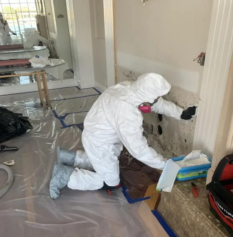 Factors That Accelerate Mold Growth