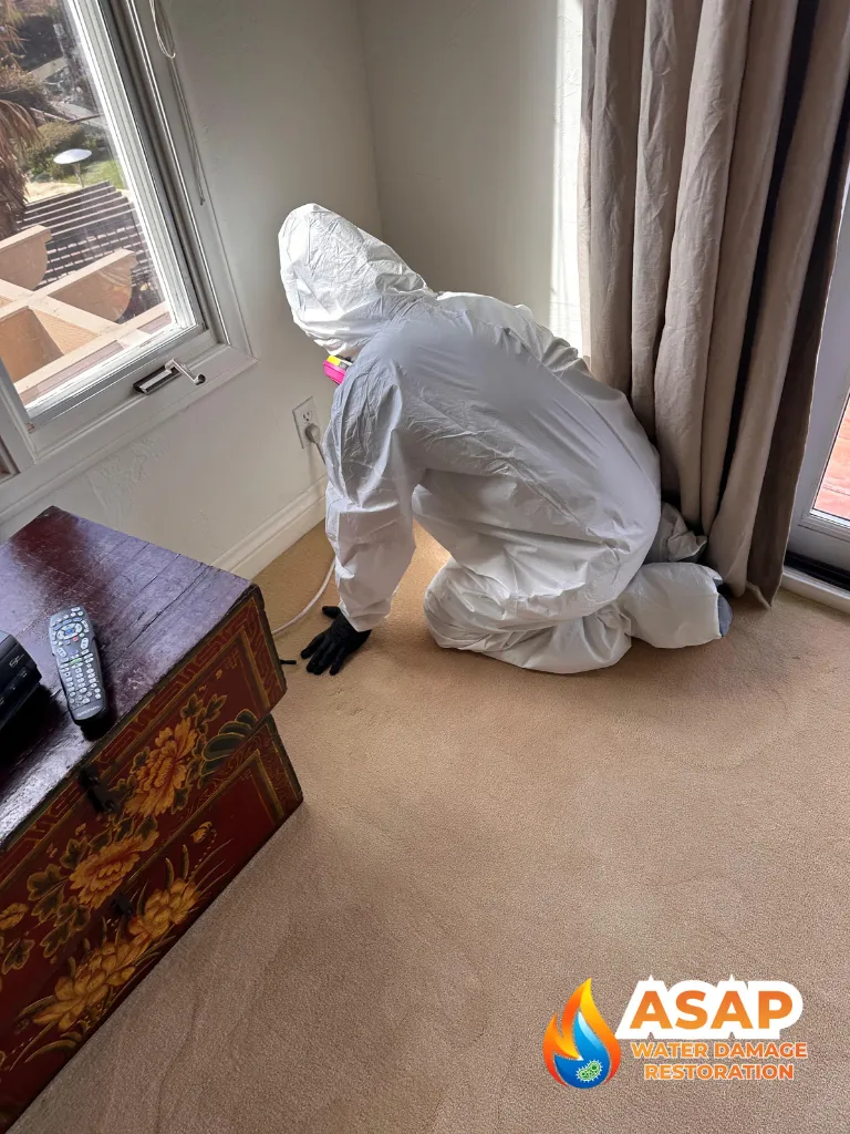 How Quickly Does Mold Grow After Water Damage