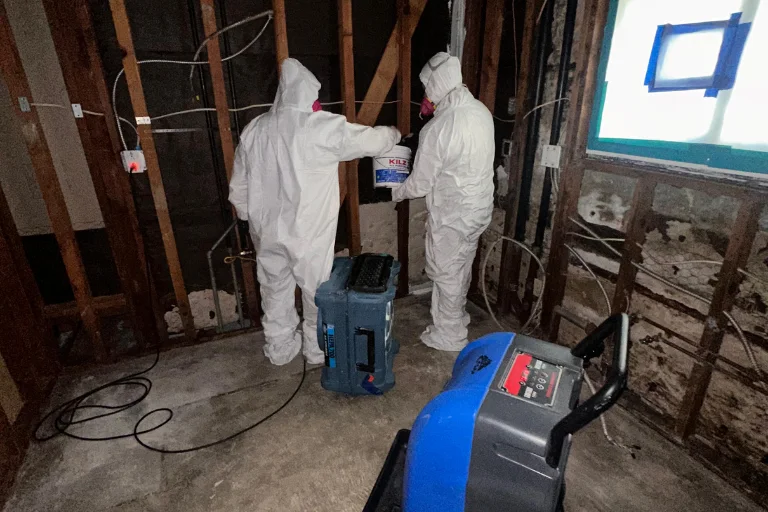 ASAP technicians performing emergency water damage mitigation in Glendale