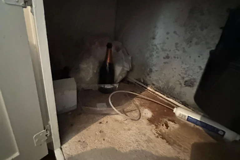 Hidden water damage found behind a wall in a Pasadena home