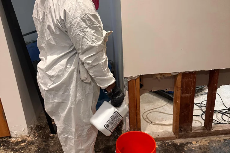 Technician treating an opened wall in a Pasadena property