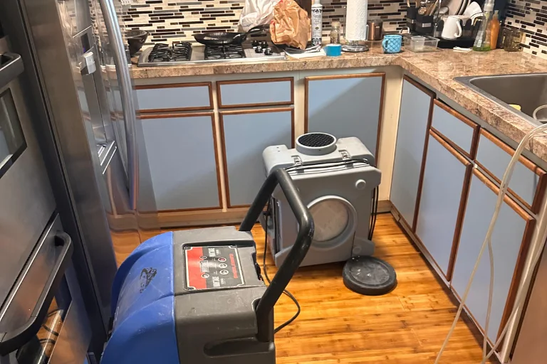 Water extraction equipment in a Glendale kitchen