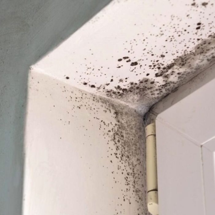 Ceiling Leak Water Removal Los Angeles Office Suite