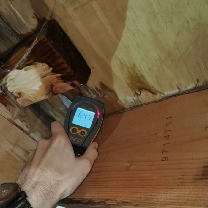 Water Damage Restoration in Hollywood Hills, Los Angeles