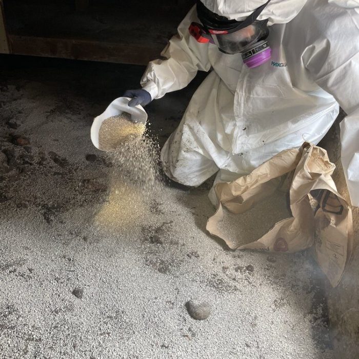 water damage restoration in Pico-Union