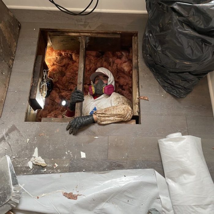 water damage restoration in Echo Park