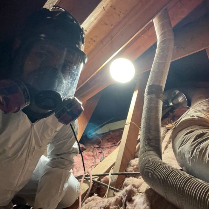 water damage restoration in East Hollywood