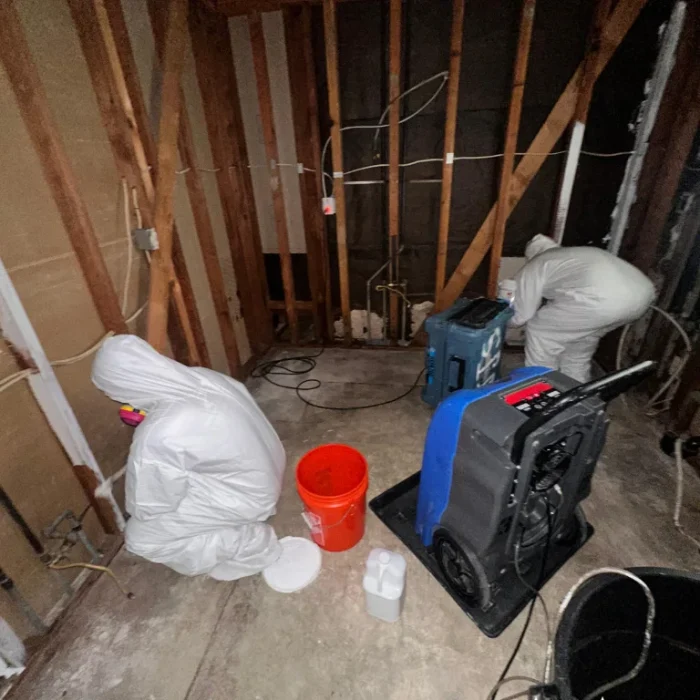 ASAP technician drying exposed framing in an older Pasadena home